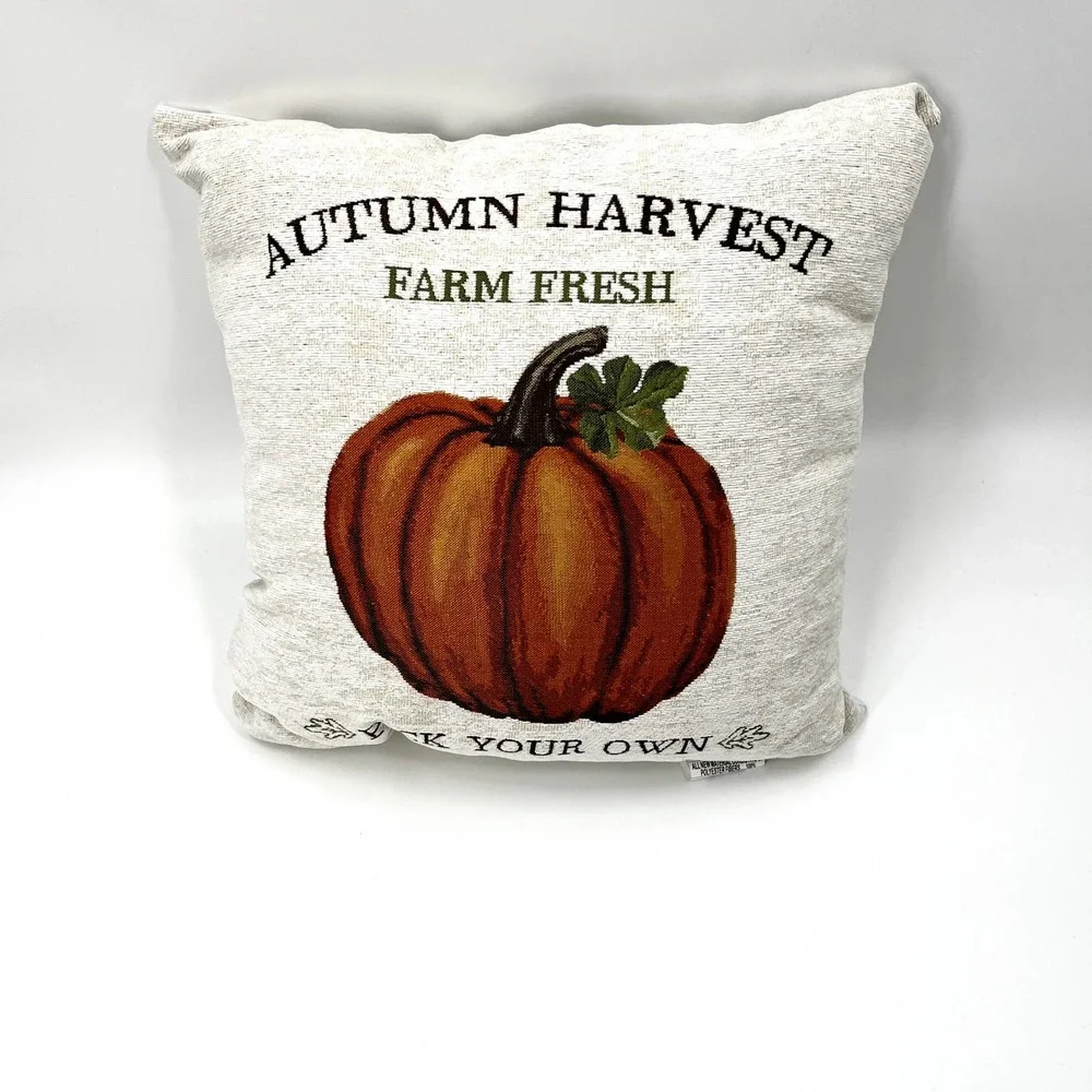 Okeo-Tex Fall Harvest Decorative Pillow Pumpkin Autumn Square Throw Pillow
